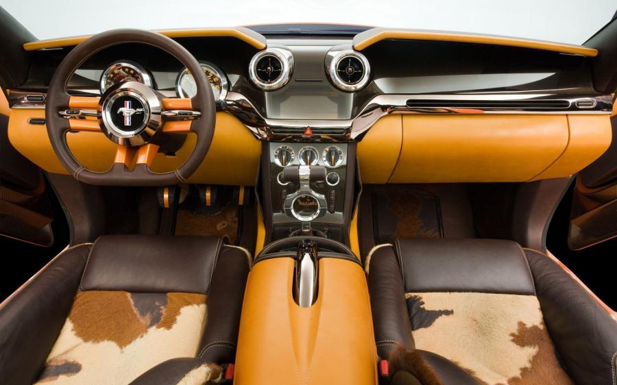  Ford Mustang Giugiaro Concept 2006 года  (фото 33 из 68)